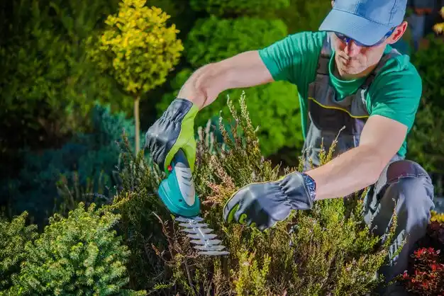 landscaping services Marceline